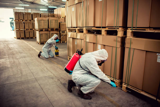 Best Affordable Pest Control Services  in Lovington, NM