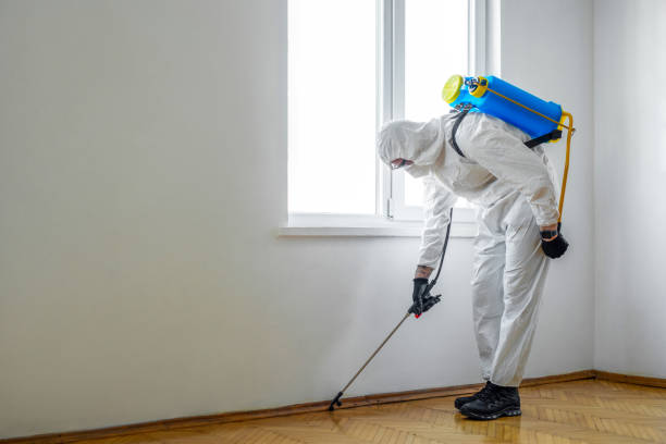 Best Affordable Pest Control Services  in Lovington, NM
