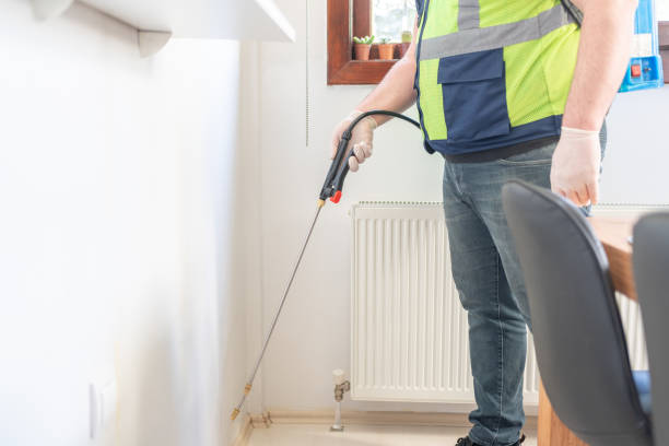 Best Residential Pest Control  in Lovington, NM