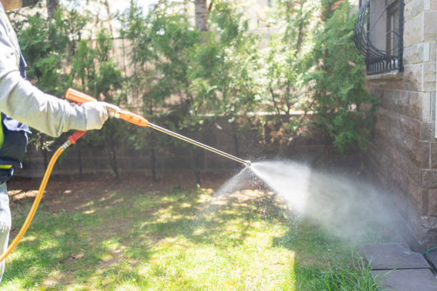 Best Wasp Removal Services  in Lovington, NM