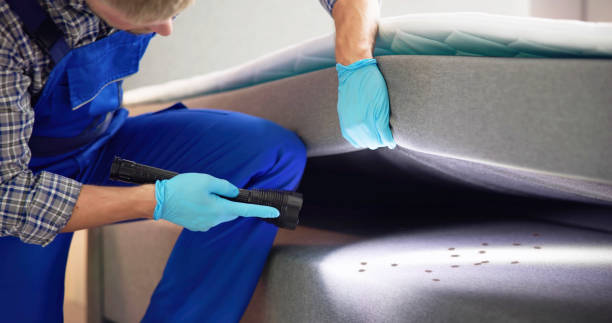 Best Pest Inspection Near Me  in Lovington, NM