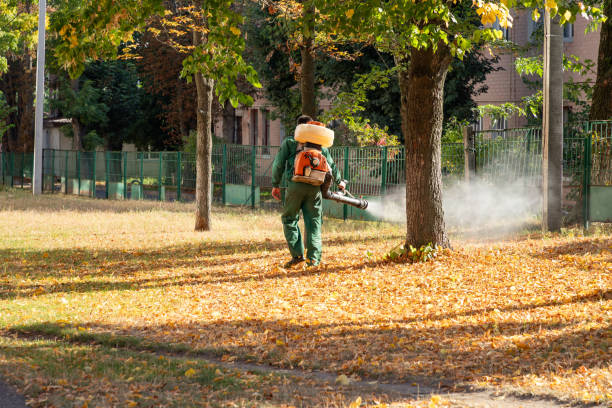 Flea Control Services in Lovington, NM