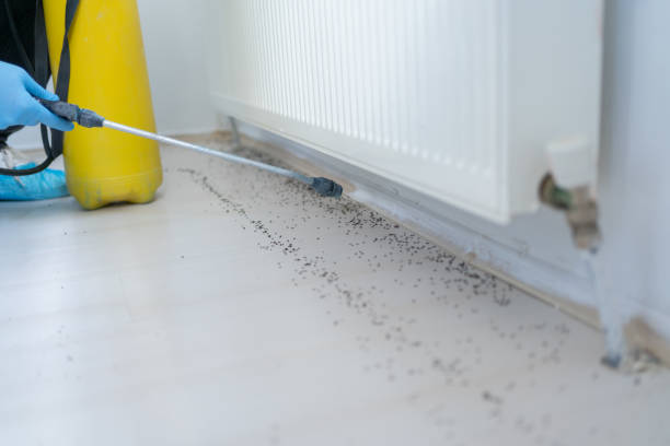 Best Commercial Pest Control Services  in Lovington, NM